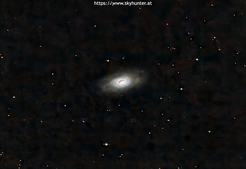 M64