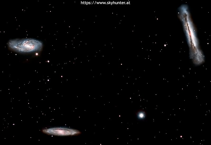 M65/M66
